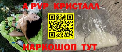 спиды Будённовск