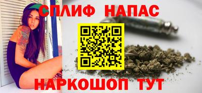 спиды Будённовск