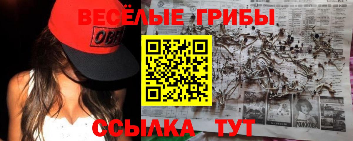 Новомосковск  Галлюциногенные грибы мицелий  где купить наркоту  Вход с VPN  Галлюциногенные грибы MAGIC MUSHROOMS 